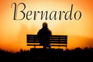 Bernardo Family: The Font That Transforms Campaigns