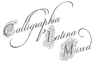 Calligraphia Latina Mixed: A Versatile Display Font for Digital Marketing