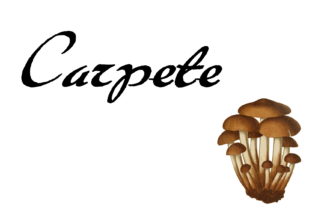 Carpete Font for Handmade Creations
