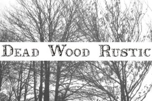 Dead Wood Rustic Font for Web Design
