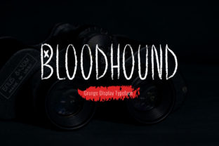 How Bloodhound Font Transformed My Brand's Visual Identity