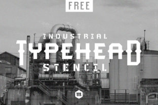 Typehead Family for Bold Campaign Designs