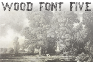 Wood Font Five for Web Design Projects